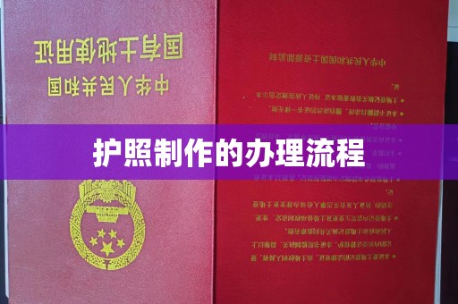 成华护照制作的办理流程